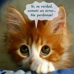 herberth  hernandez - @herberthdejesus - Instagram