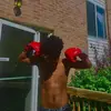 Herb Mitchell ✝️ - @hitmanherb1 - TikTok