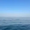 Herbie - @herbie.smith - TikTok