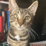 Herbie Smith - @its_herbie_love_bug - Instagram