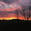 herbiesmithh - @herbiesmithh - TikTok