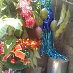 Heriberto Ballesteros - Facebook