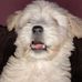 Heriberto Camacho - Facebook