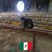 Aaron Heriberto Lezama - Facebook