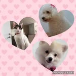 Heriberto Lara Lezama - @heribertolaralezama - Instagram