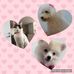 Heriberto Lara Lezama - Facebook