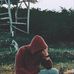 Herman Abraham - Facebook