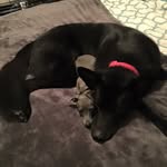 Herman&Archer - @herman_archer - Instagram