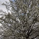 Herman Bauer - @hauerbauer00 - Instagram