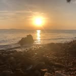 Hermann - @hermann.bauer.54 - Instagram