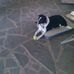 Herman Bender - Facebook
