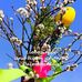 Hermann Bernsteiner - Facebook