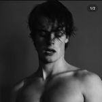 Herman 🦊 - @herman_best_fan - Instagram