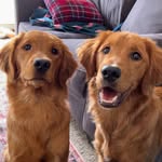 Herman & Bock - @hermanandbock - Instagram