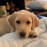 @herman_burton20 - Instagram