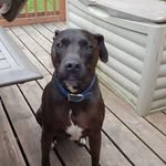 Herman Burton - @herman.burton.33 - Instagram