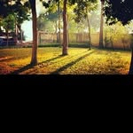 @herman_burtonm - Instagram