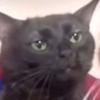 hermann_cano - @hermann_cano - TikTok