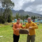 Herman Carrillo - @herman.carrillo.7 - Instagram