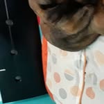 Herman Correa - @herman.correa.357 - Instagram