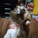 @tedd.y.herman.de.curry - Instagram