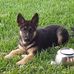 Herman Dotson - Facebook