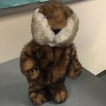 Herman Sherman Werman Dunlap - @hermanshermanwermandunlap - Instagram