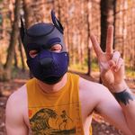 Herman The Hiking Mutt🐾🥾 - @goodboi_herman - Instagram