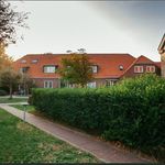 hermann - @gossip_hermann_spiek - Instagram