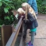 Jan Herman Gosselink - @janhermangosselink - Instagram