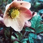 Herman Granger - @granger.herman - Instagram