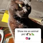 Gregory herman - @gregoryherman782 - Instagram