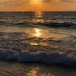 Gregory herman - @gregoryherman468 - Instagram