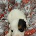 Herman Hart - Facebook