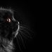 Herman Hinton - Facebook