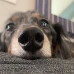 Herman Holmes - @herman.holmes1973 - Instagram