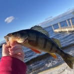 Hunter Herman - Facebook