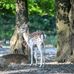 Herman Jansen-Park - Facebook