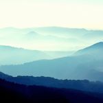 Herman Jensen - @hermanjenseen - Instagram