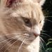 Herman Johnston - Facebook