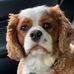 Herman Johnston - Facebook