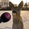 josephhermann30 - @josephhermann30 - TikTok