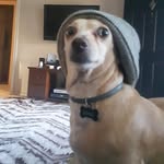 Herman Knox - @knoxy_pooh - Instagram