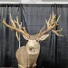 Hunting channel - @lancaster7180 - TikTok
