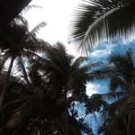 Herman Lawrence - @hermanlawrence251 - Instagram