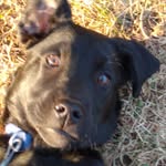 Herman Leonard - @tbnrgamer33 - Instagram