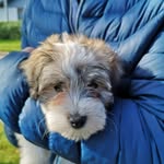 Herman Levin - @herman.levin - Instagram