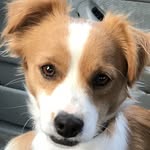 Marshall Herman - @marshall_herman - Instagram