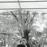 Herman Mayar - @hermanmayar - Instagram