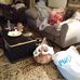 Herman Mayes - Facebook